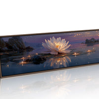 Lotus Light at Dusk
