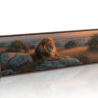 Savanna King at Sunset