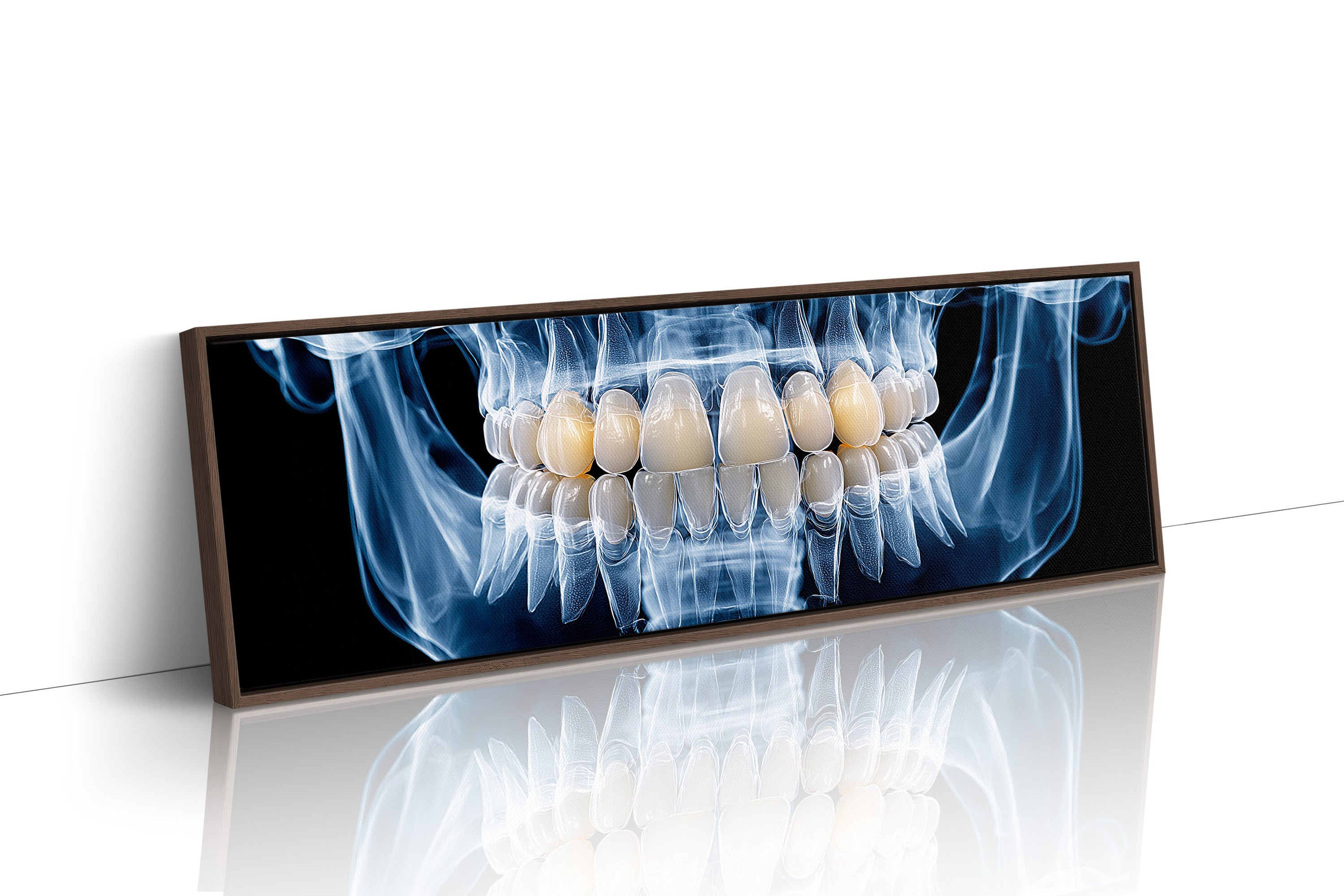 Dental X Ray Close Up