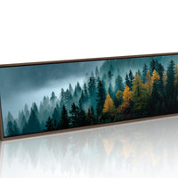 Golden Pines In Morning Mist