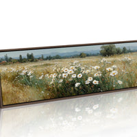 Wild Daisies Across Golden Meadow
