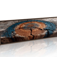 Ancient Tree Rings of Time