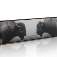 Silent Strength Of The American Bison