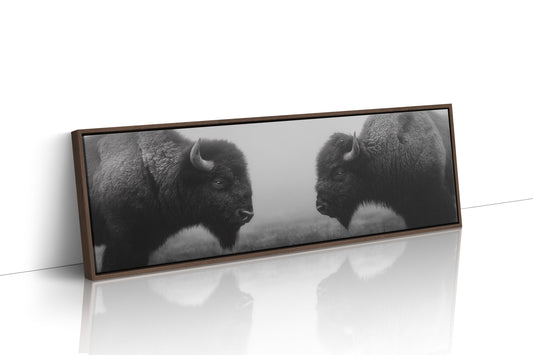 Silent Strength Of The American Bison