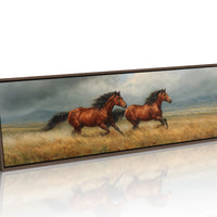 Stormbound Stallions