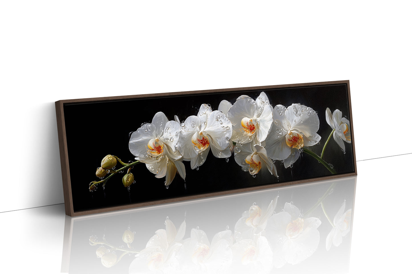 White Orchids In Midnight Bloom