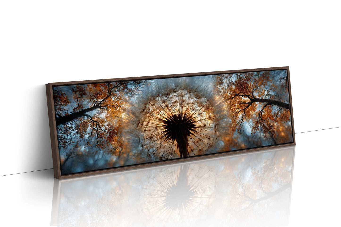 Dandelion Halo In Autumn Light