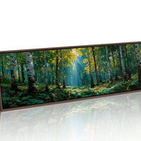Sunlit Birch Forest