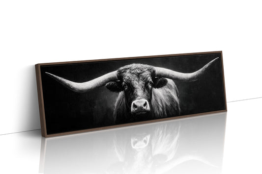 Black and White Longhorn Portrait on Dark Background