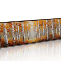 Light Between Autumn Birches
