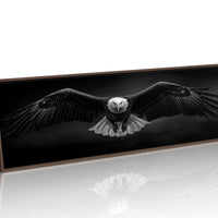 Wings Over the Dark Horizon