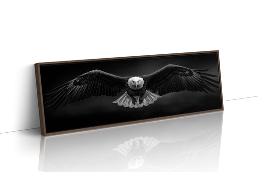 Wings Over the Dark Horizon