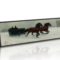 Gallop Through Winter Fields
