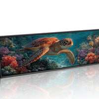 Drifting Through Coral Gardens