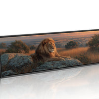 Savanna King at Sunset