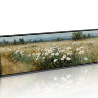 Wild Daisies Across Golden Meadow