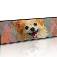 Joyful Pomeranian Smile