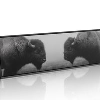 Silent Strength Of The American Bison