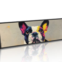 Color Burst Boston Terrier Portrait