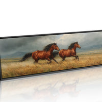Stormbound Stallions