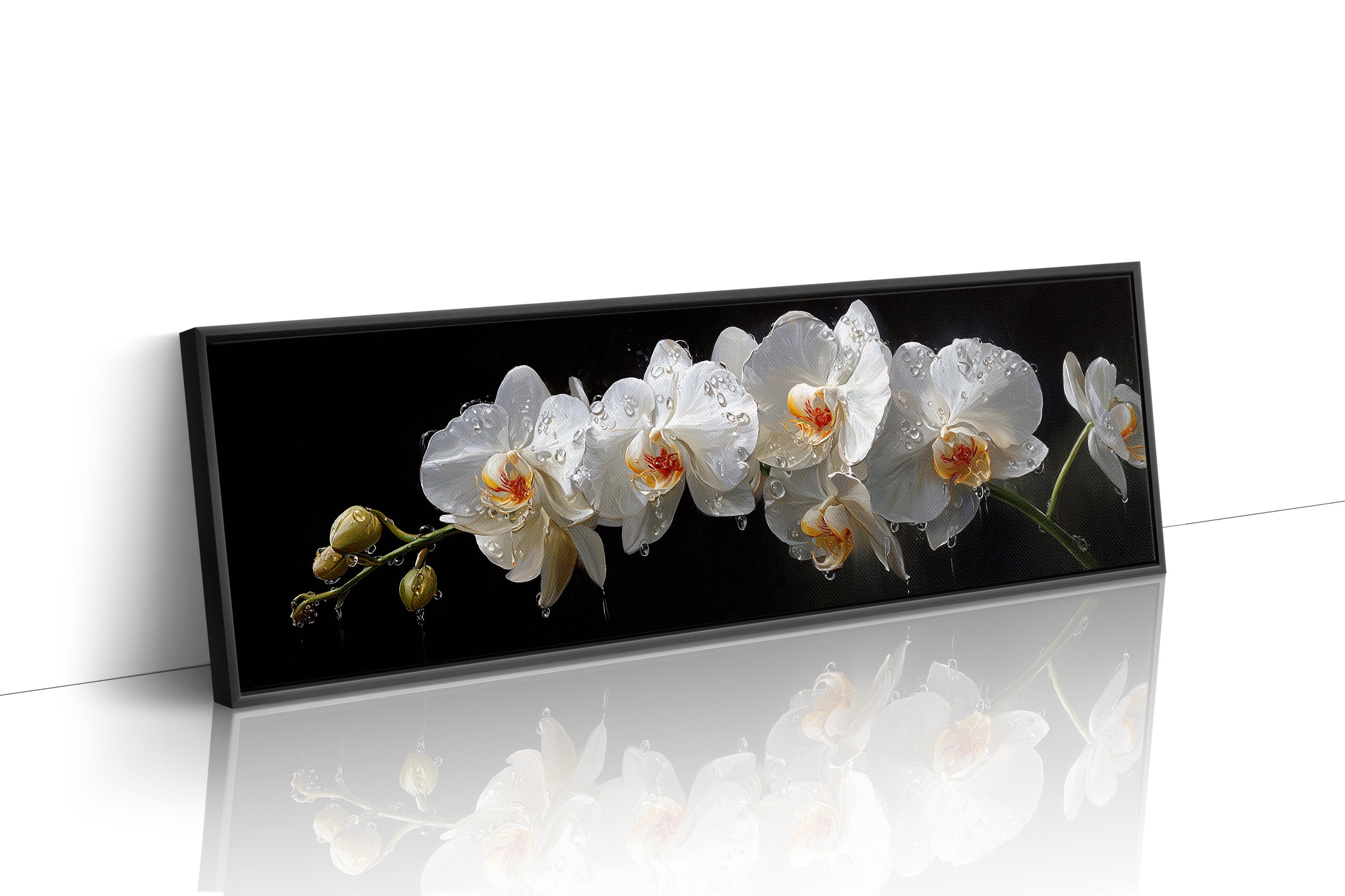 White Orchids In Midnight Bloom