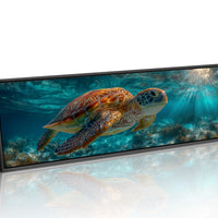 Sea Turtle Swimming In Sunlit Ocean