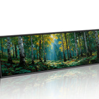 Sunlit Birch Forest