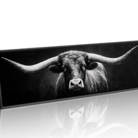 Black and White Longhorn Portrait on Dark Background