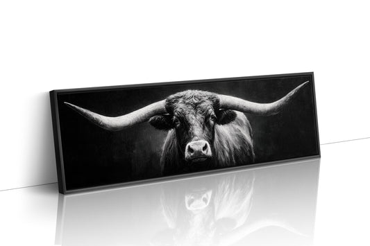 Black and White Longhorn Portrait on Dark Background