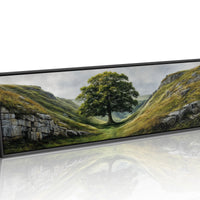 Lone Tree in the Green Valley