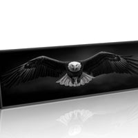Wings Over the Dark Horizon
