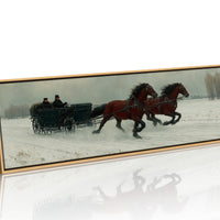 Gallop Through Winter Fields