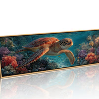 Drifting Through Coral Gardens