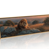 Savanna King at Sunset