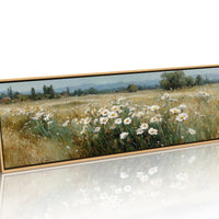 Wild Daisies Across Golden Meadow
