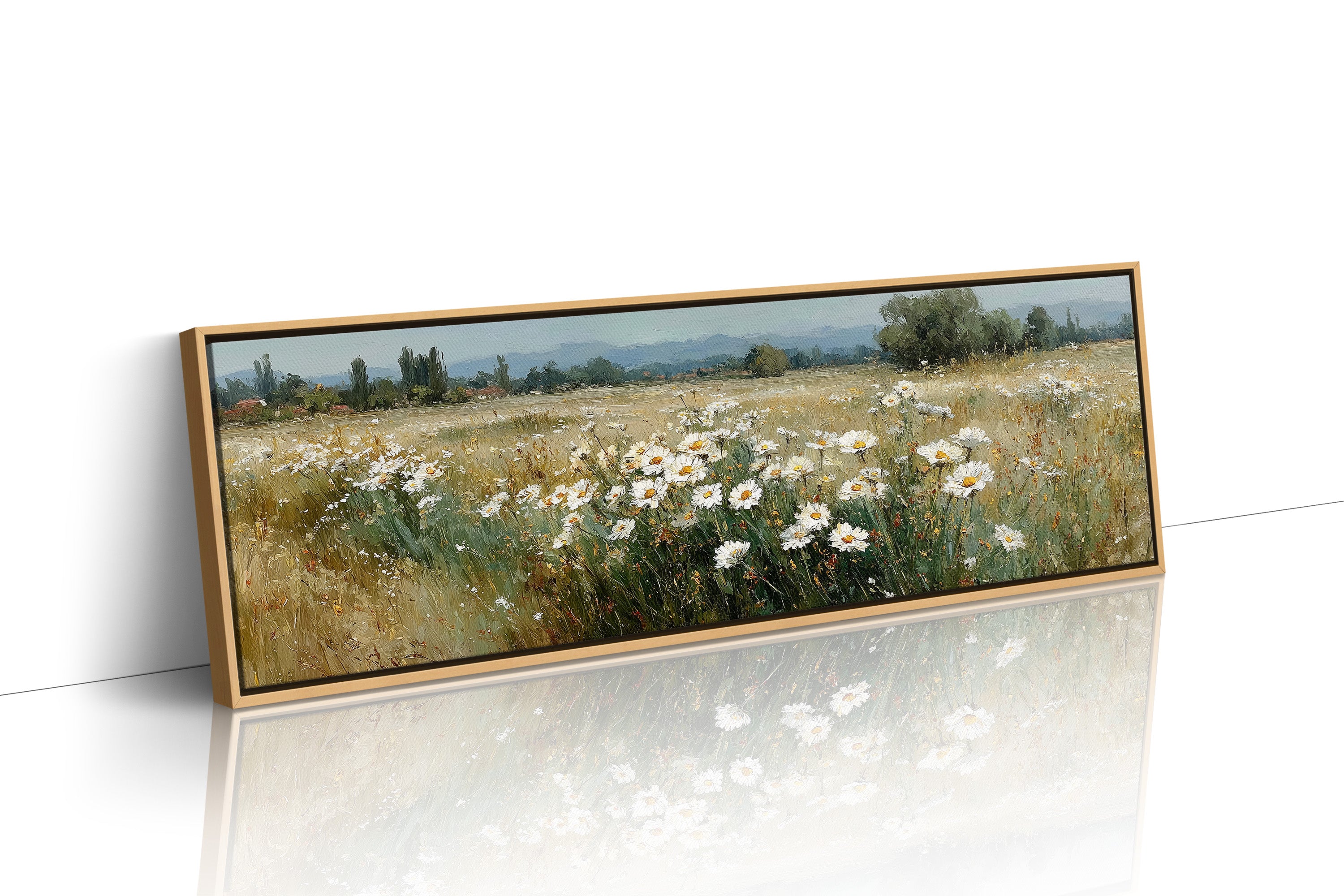 Wild Daisies Across Golden Meadow
