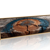 Ancient Tree Rings of Time