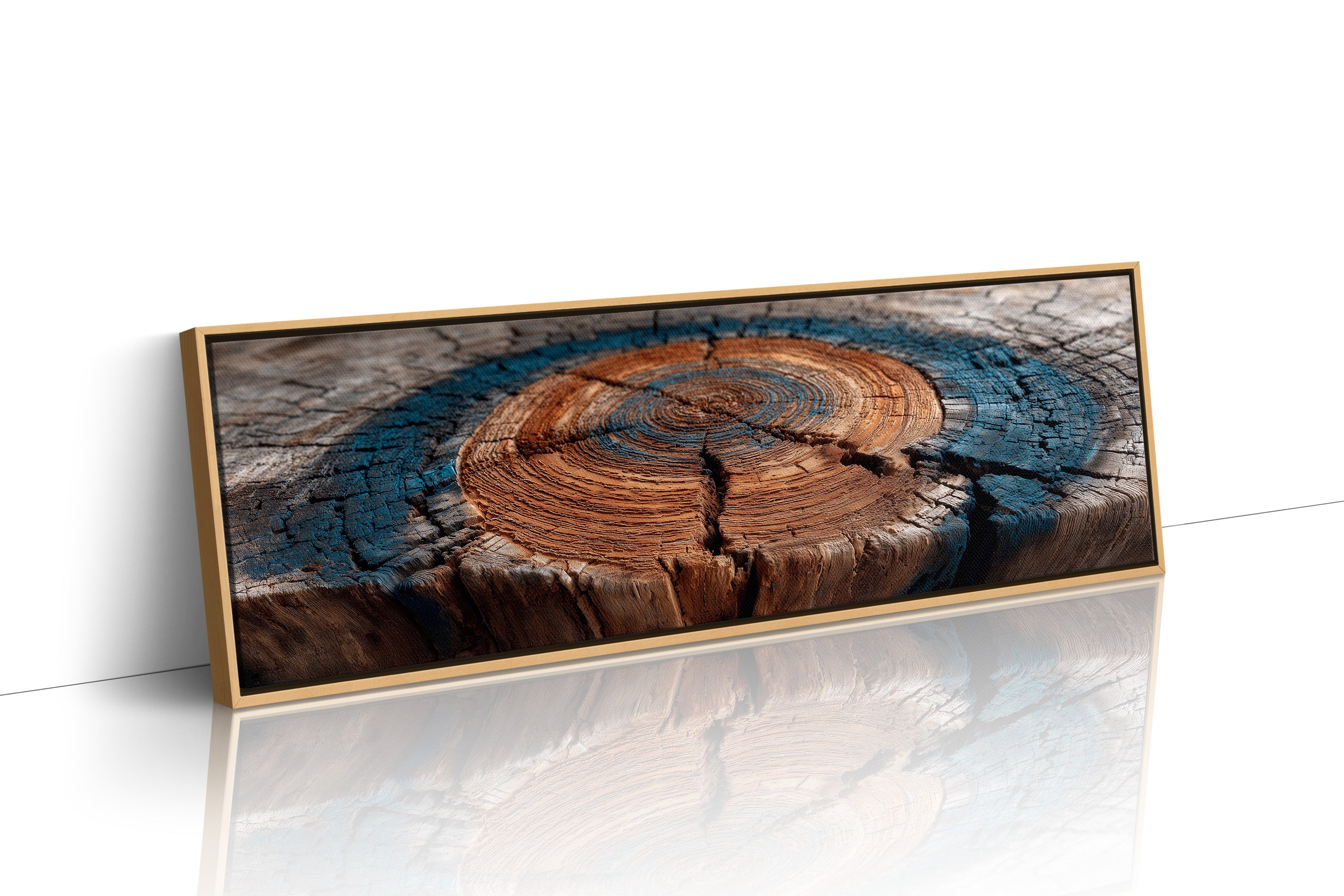 Ancient Tree Rings of Time