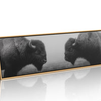 Silent Strength Of The American Bison