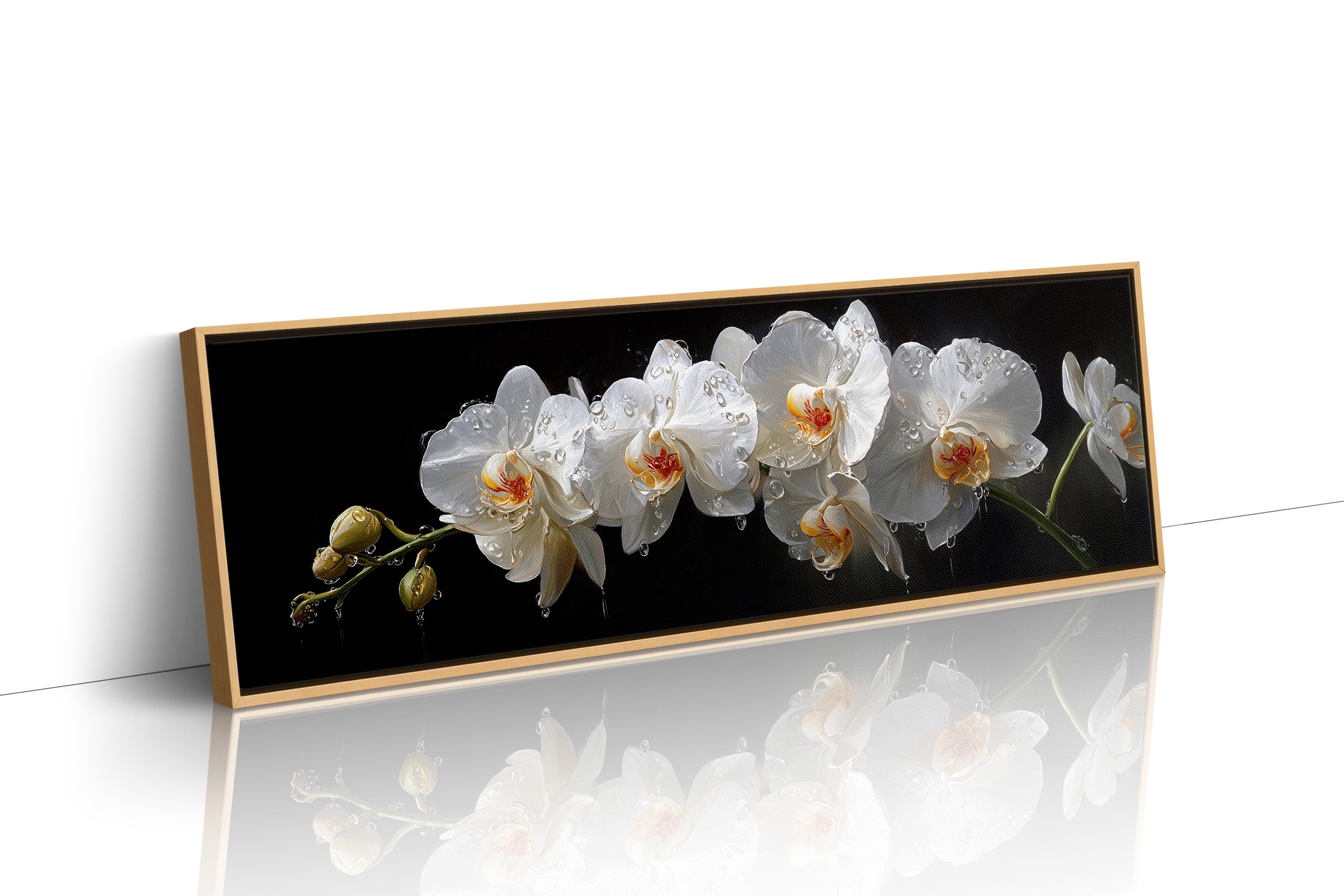 White Orchids In Midnight Bloom