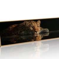 Resting Leopard Reflection