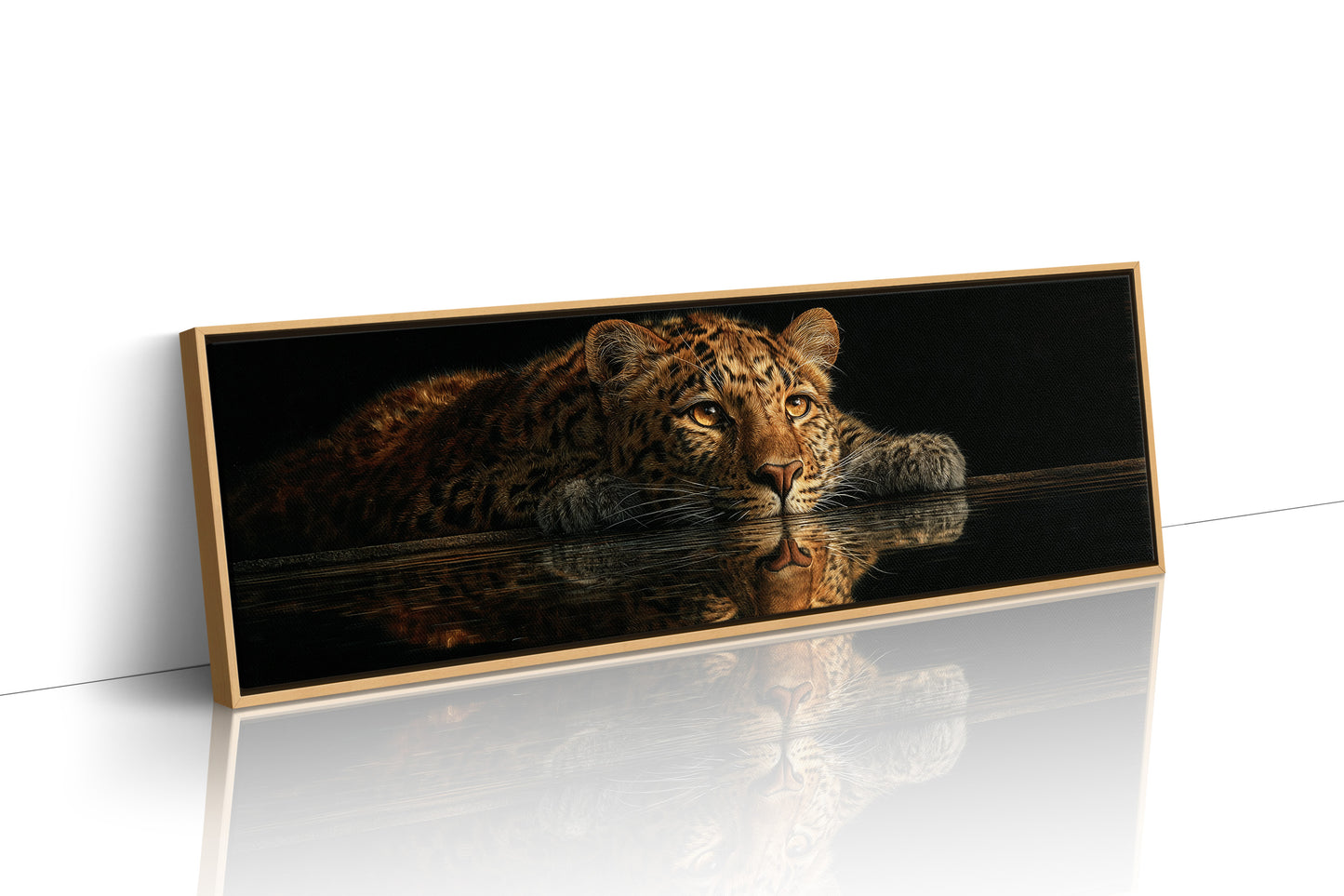 Resting Leopard Reflection