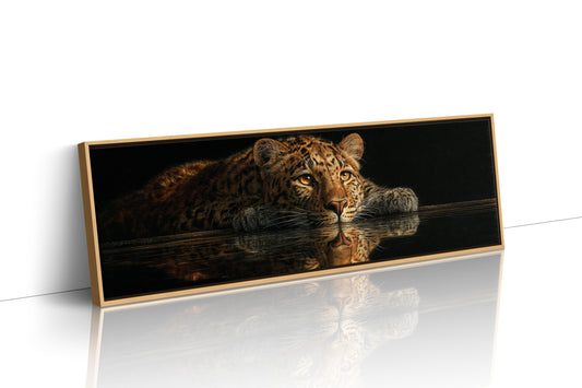 Resting Leopard Reflection