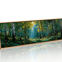 Sunlit Birch Forest
