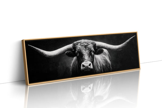 Black and White Longhorn Portrait on Dark Background