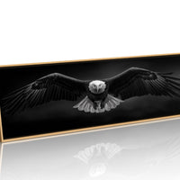 Wings Over the Dark Horizon