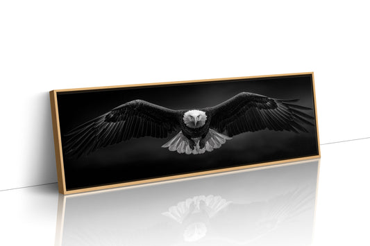 Wings Over the Dark Horizon
