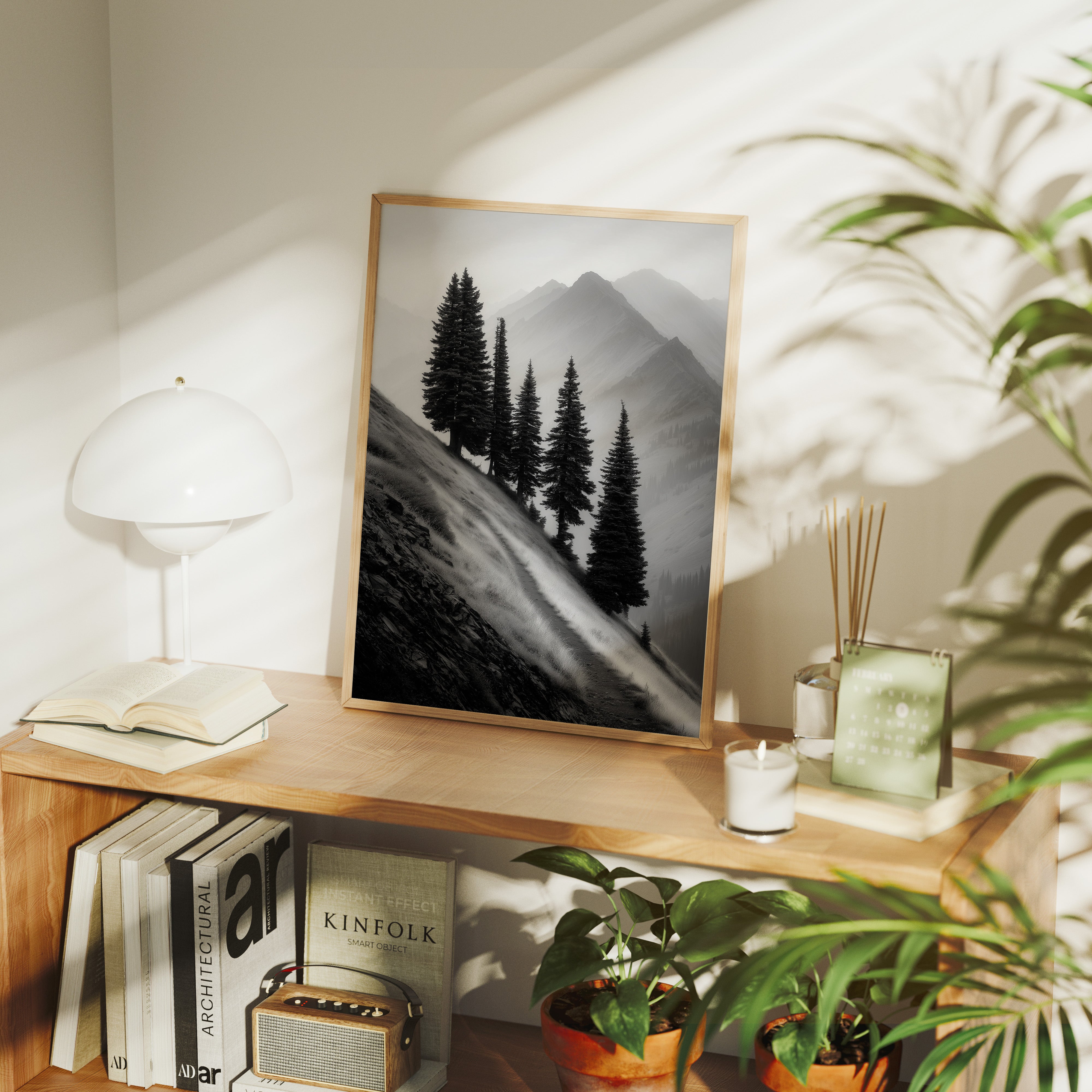 Windswept Timberline