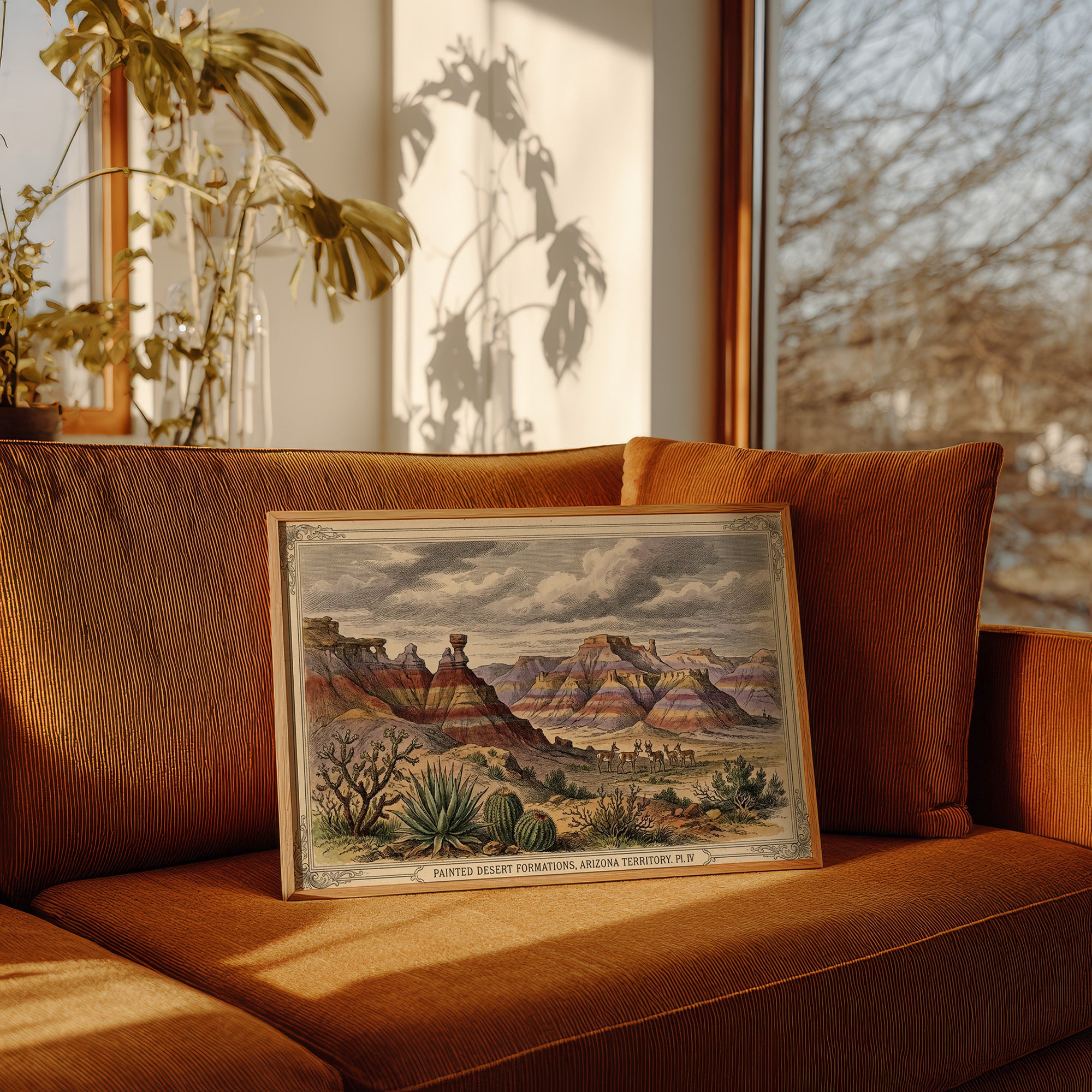 Painted Desert, Plate IV