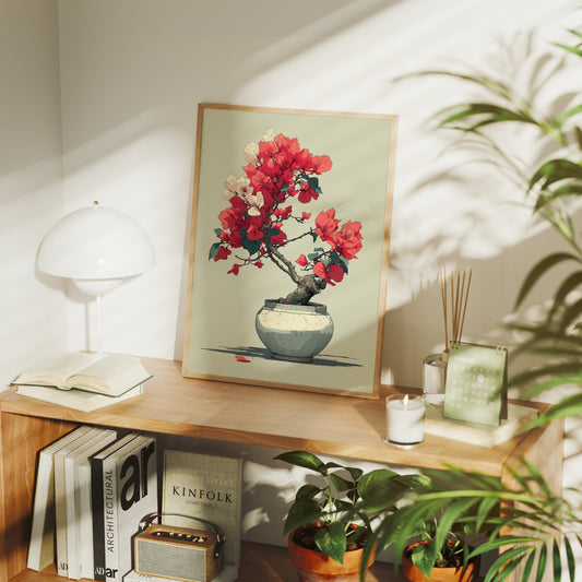 Bougainvillea in Bloom